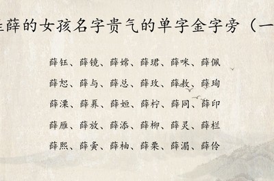 姓薛的女孩名字