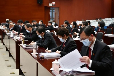 法官职业化