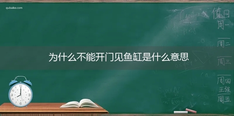 魚(yú)缸里濾材多久更換好（魚(yú)缸里濾材多久更換好一點(diǎn)）