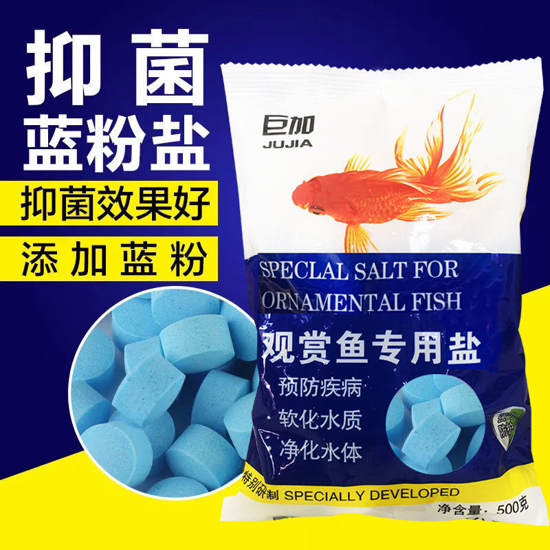 龍魚不吃東西（龍魚不吃東西是什么原因）