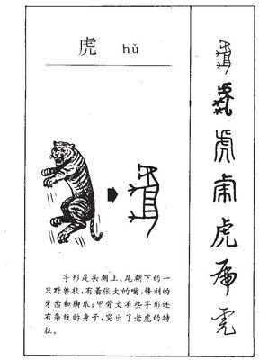 统字五行属什么