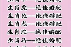 生肖婚姻配对