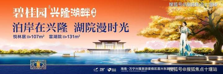 碧桂园 贷款
