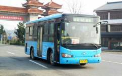 251公交车路线查询