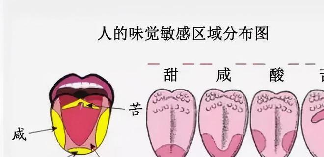舌头发咸是怎么回事