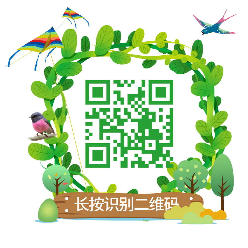 二维码装饰