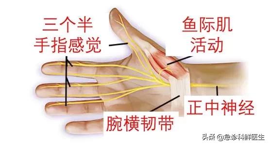 手指头尖麻是怎么回事