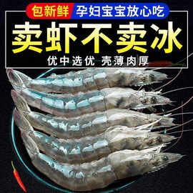 孕妇可以吃青虾吗