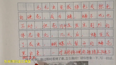 描写很快的词语