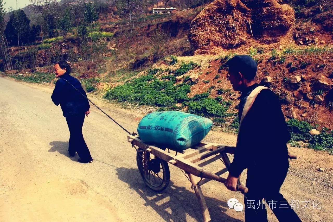 长闭合性痘痘不能吃什么