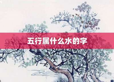 淼五行属什么
