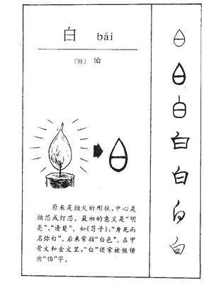 伯五行属什么