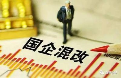 国有企业的股东