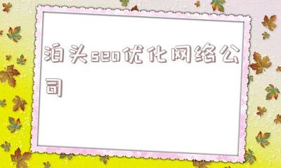 泊头seo优化网络公司的简单介绍