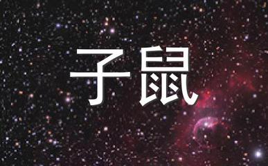 收五行属什么