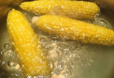 煮玉米需要到多少水