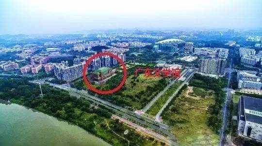 大学城湾咀头湿地公园