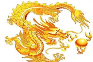 2000年属龙的幸运数字