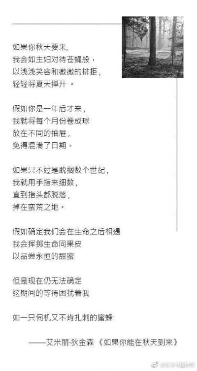 假如的小诗怎么写