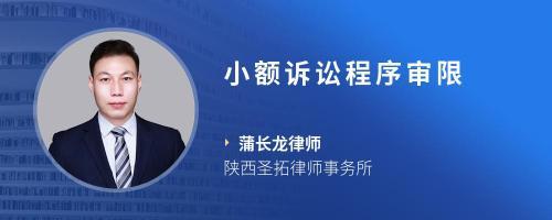 小额诉讼程序审限
