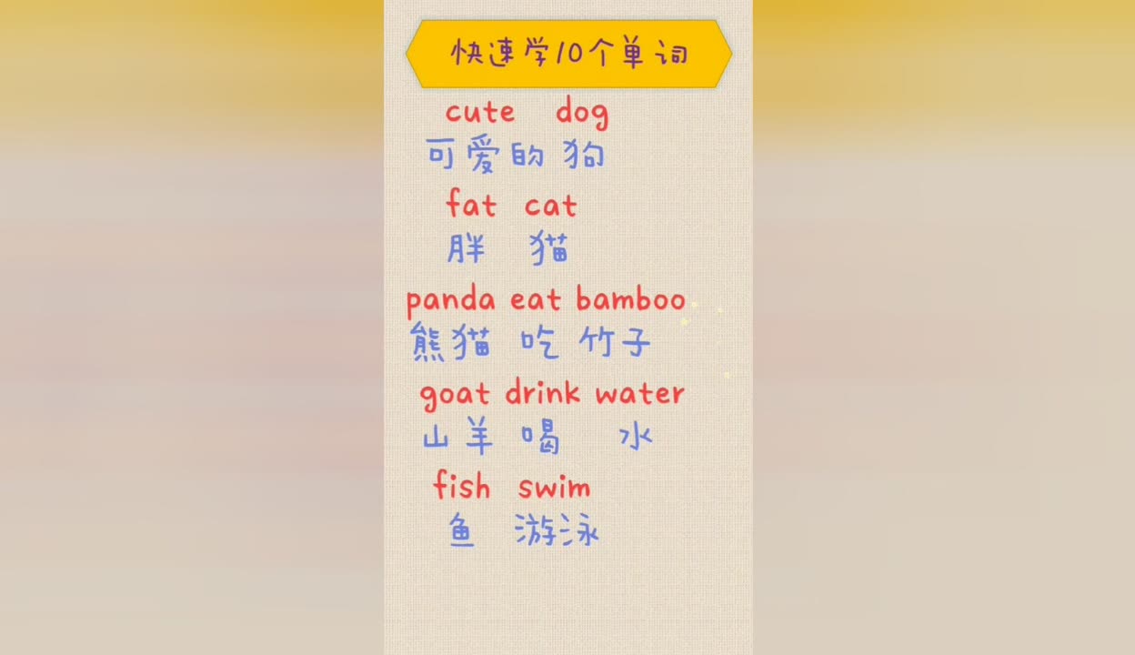 cute英语怎么说读音发音的单词呢