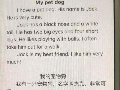 我的宠物英文作文