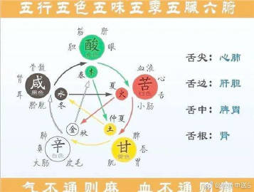 夏字属于五行属什么