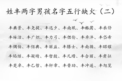 姓丰的男孩名字大全