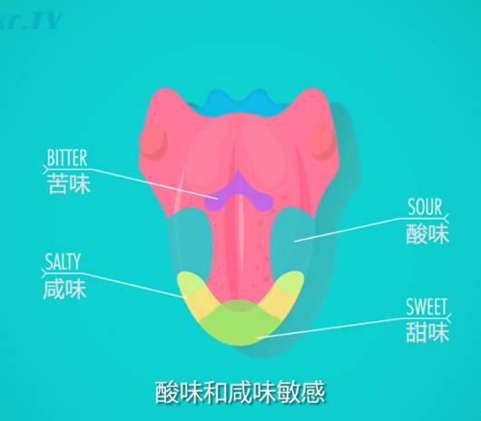 舌头发咸是怎么回事