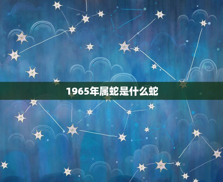 属蛇的人是什么星座