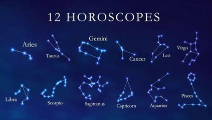 最聪明的星座男