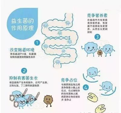 宝宝需要长期吃益生菌吗