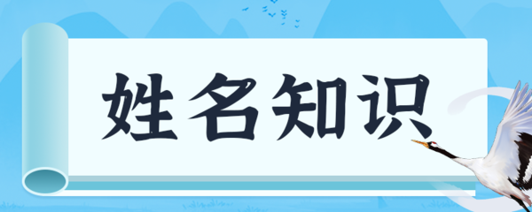 带土男孩名字