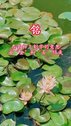 名字铭轩的寓意是什么