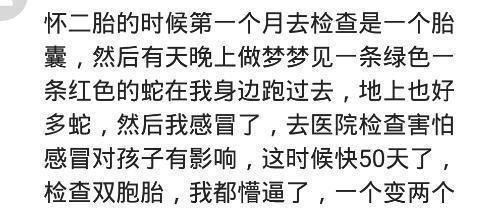 做梦梦见自己怀二胎了