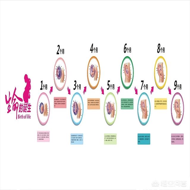 怀孕多少天宝宝出生