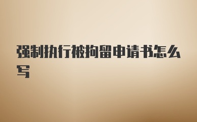 强制执行拘留申请书