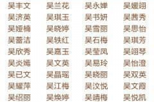 女孩姓吴取什么名字好