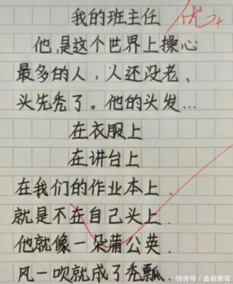 我眼中的班主任400字作文怎么写