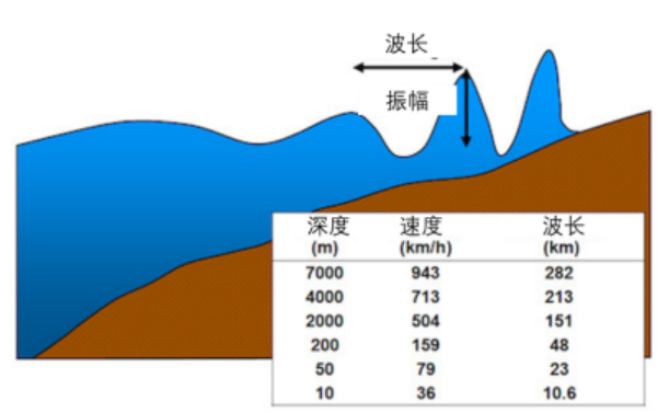 船舶速度与船类型关系