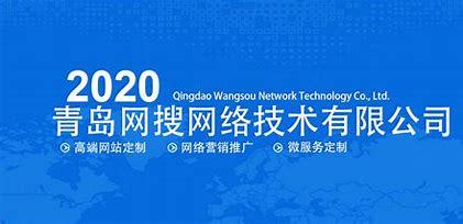 青海省网站建设运营方案详解:运营方案怎么写|2024年06月更新