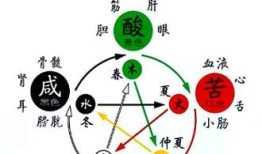 李字在五行中属什么