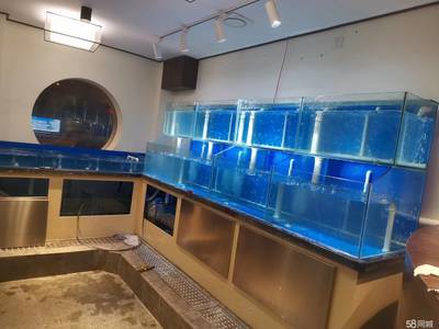 gias廣州國際水族展（2020廣州國際水族展）