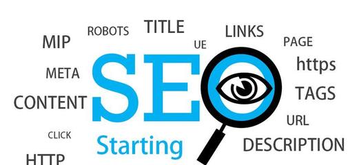 掌握,让你的网站走向成功(一步步教你成为专家)