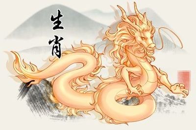 属龙的命运