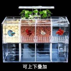 大慶高新區(qū)海晶水族用品商店（大慶高新區(qū)海晶水族用品商店地址） 水族用品