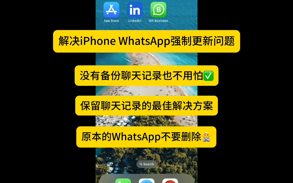 国内怎么用whatsapp和客人聊天