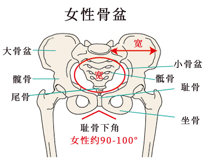盆骨骨折怎么治疗