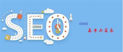 seo自学网seo菜鸟教程详解:seo自学网seo菜鸟教程视频|2024年07月更新
