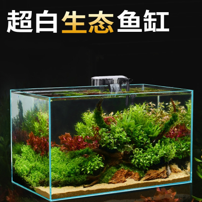 1米2魚缸多重（1米魚缸多重10mm） 其他品牌魚缸 第2張